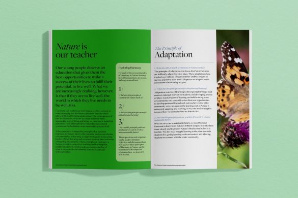 Biodiversity in nature