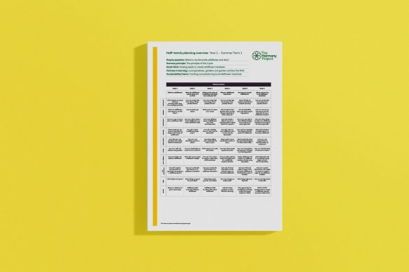 Y1 Planning overview grid – Wildflowers