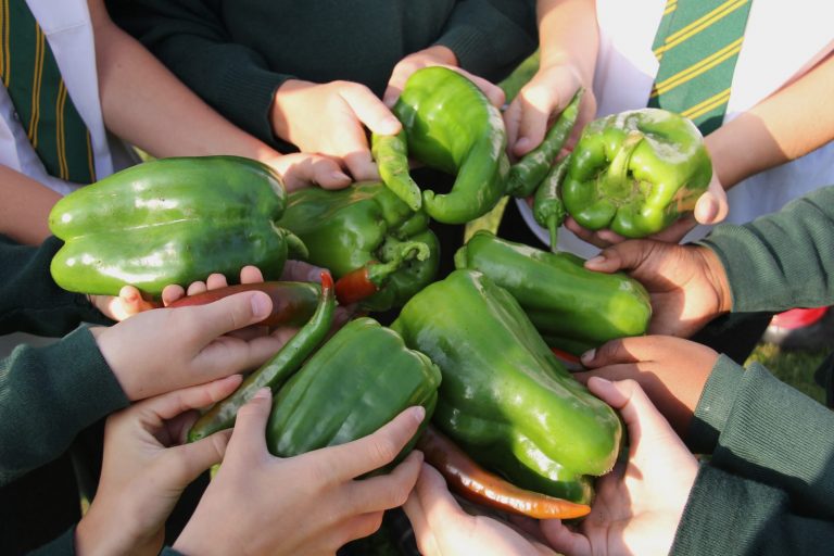 Enquiries of learning may explore healthy eating