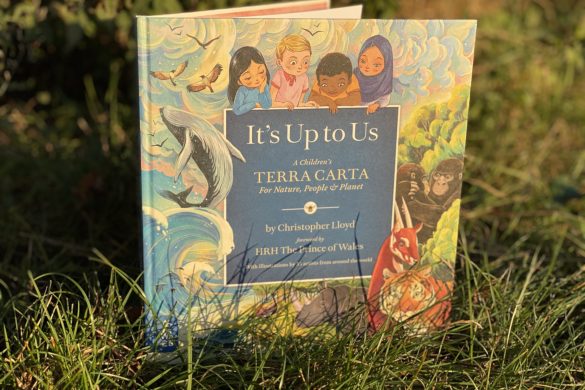 It's Up To Us book