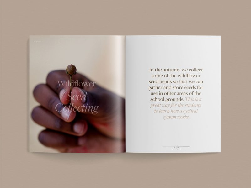 Harmony: A New Way of Looking at and Learning About our World - A Teachers’ Guide (PDF) - Image 3