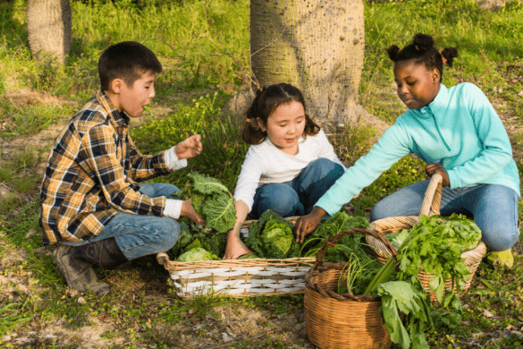 A vision for food education and farms as education platforms