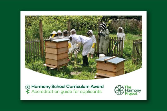 Harmony School Accreditation Curriculum