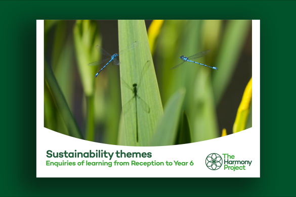 Sustainability Themes pack – web thumbnail