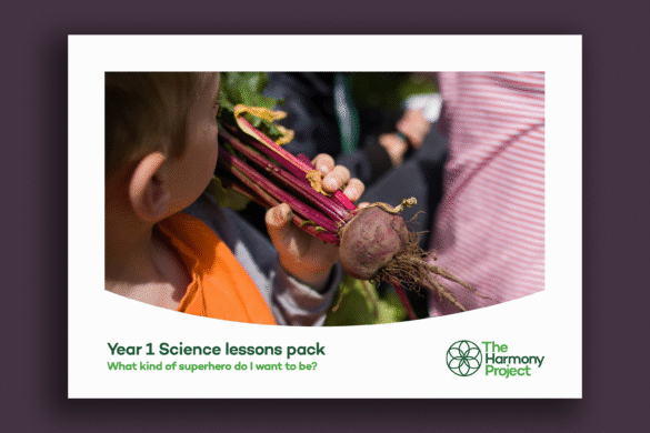 Year 1 science lesson plans seaside