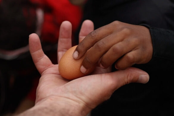 The Harmony Project donate monthly