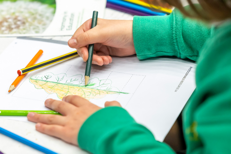 Primary School Sustainability Workshop – Image credit: Stewart Turkington