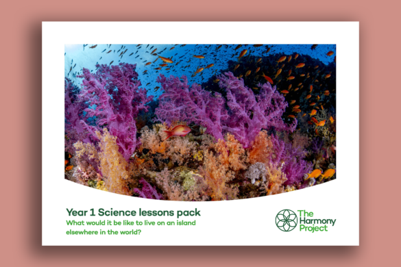 Science lesson plans – Year 1 materials