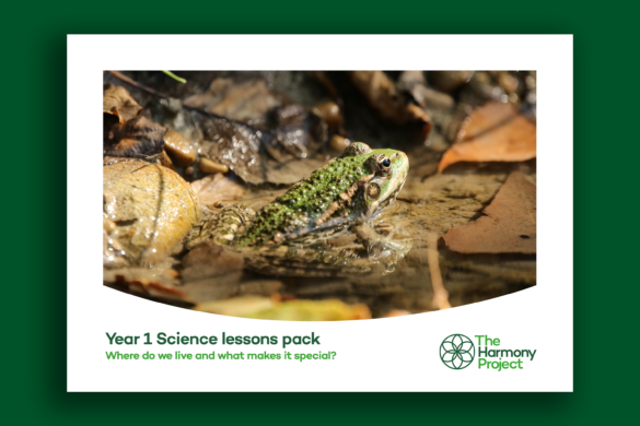 Science lesson plans – Year 1 materials