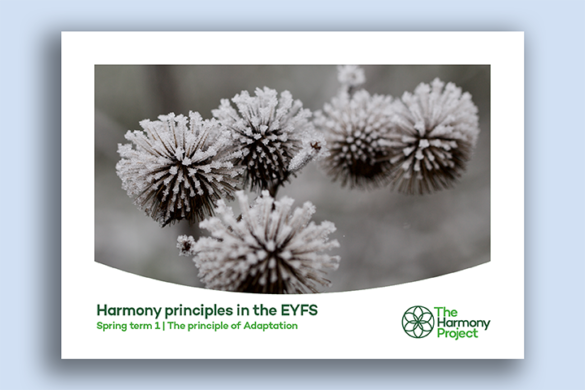 Harmony principles in the EYFS Adaptation