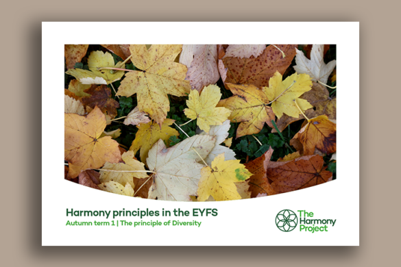 Harmony principles in the EYFS Diversity
