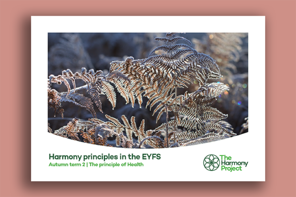 Harmony principles in the EYFS Health