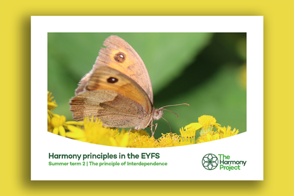 Harmony principles in the EYFS Interdependence