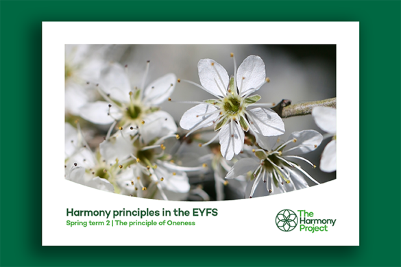 Harmony principles in the EYFS Oneness