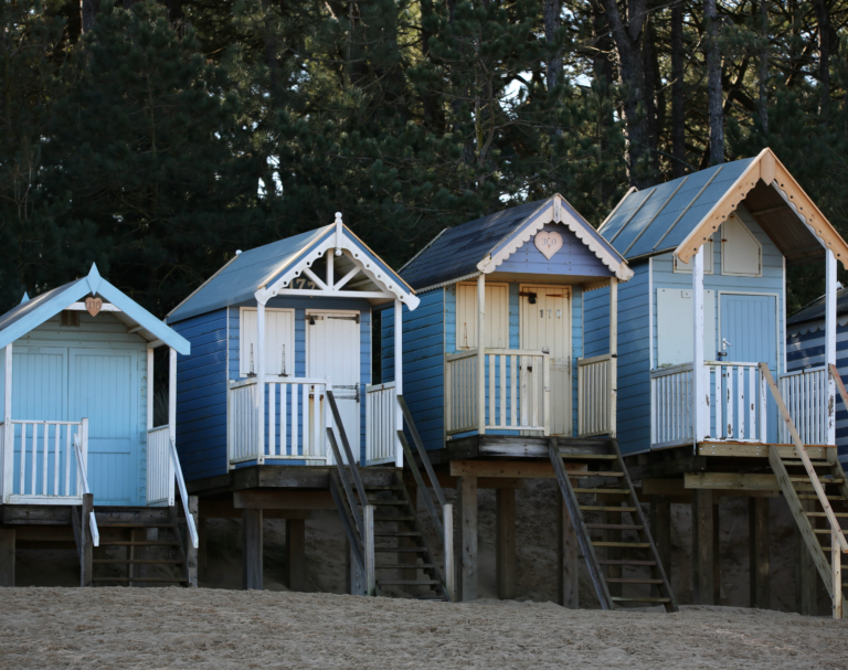 Year 1 science lesson plans seaside
