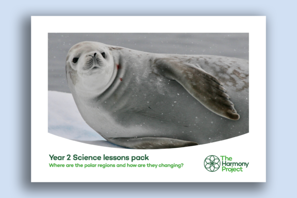 Year 2 science lesson plans health