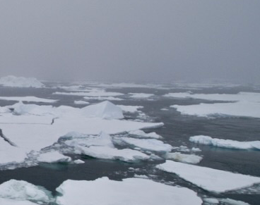 Year 2 science lesson plans polar regions