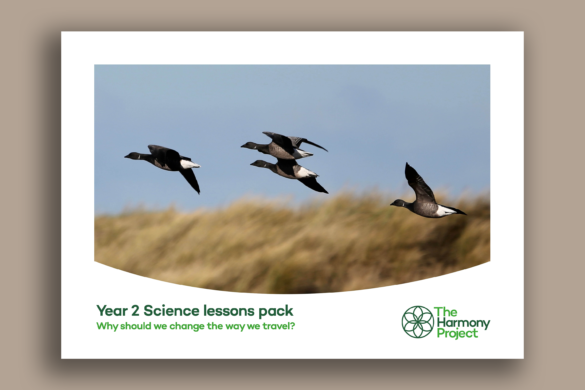 Year 2 science lesson plans health
