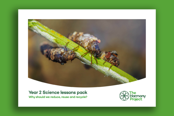 Year 2 science lesson plans travel