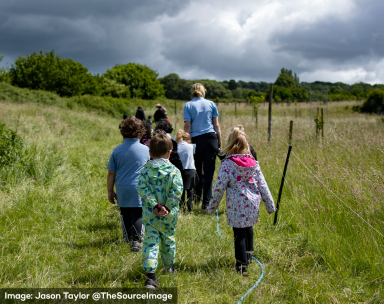 Year 2 science lesson plans travel